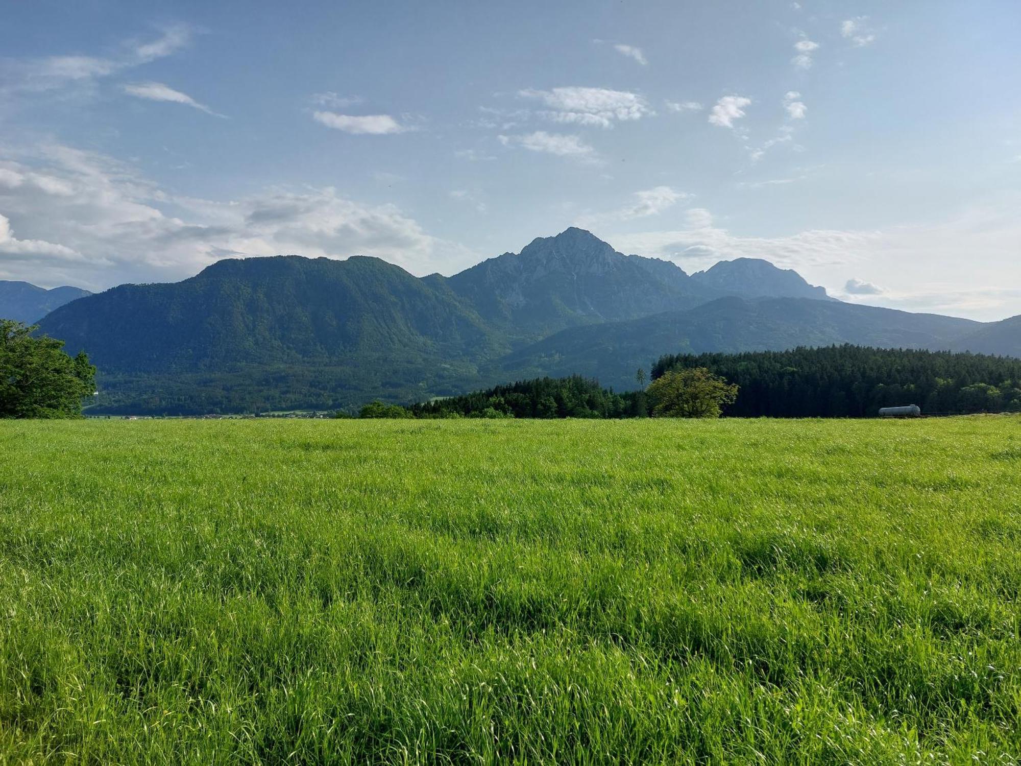 Fuchsbauernhof Villa Piding Bagian luar foto