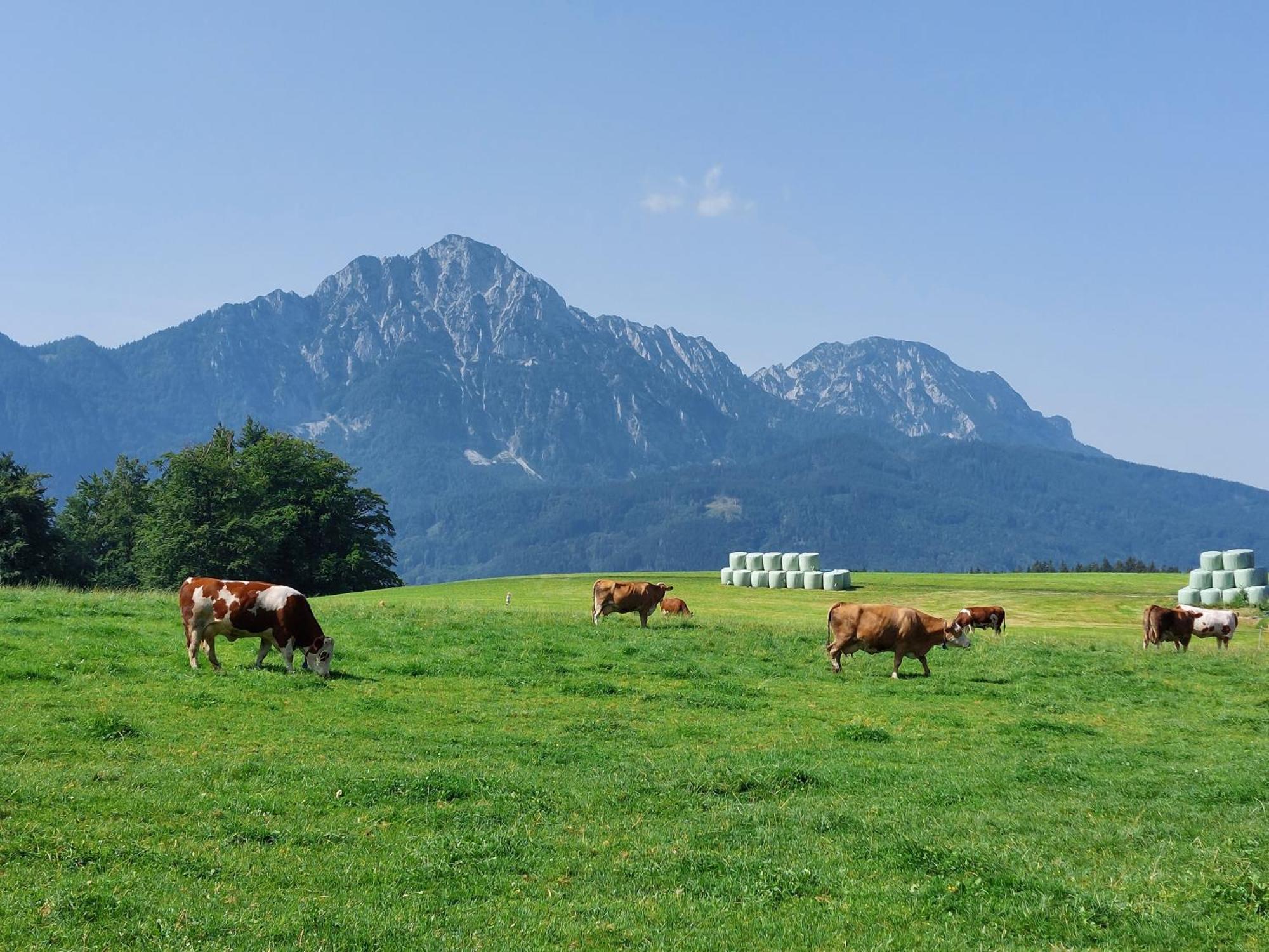 Fuchsbauernhof Villa Piding Bagian luar foto