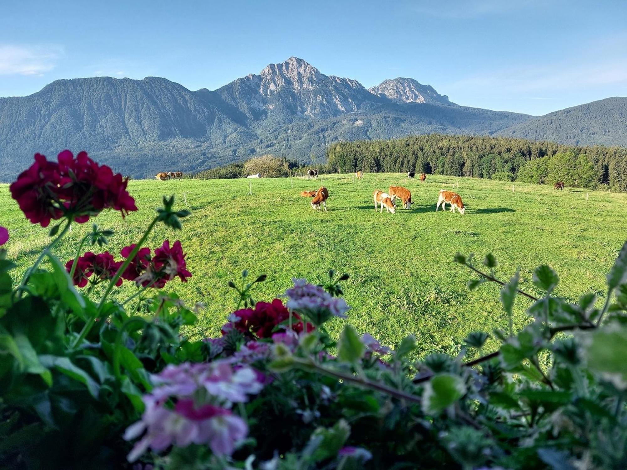Fuchsbauernhof Villa Piding Bagian luar foto